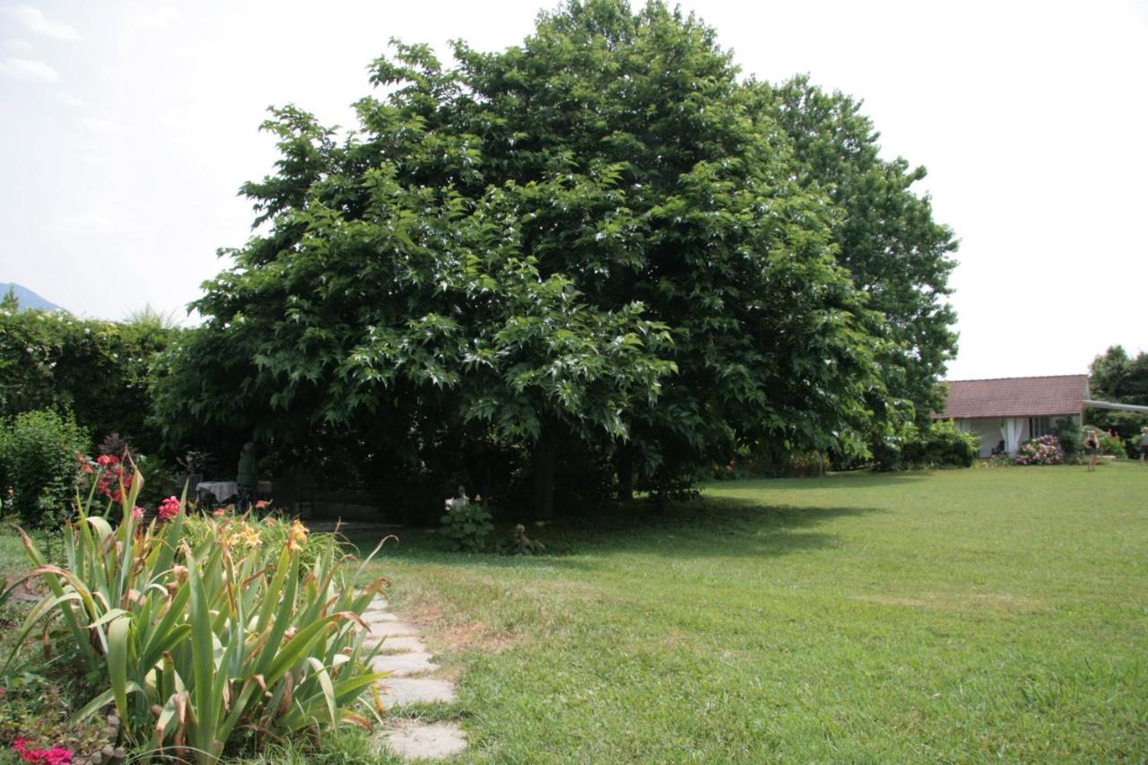 تونفانو Pietrasanta - Versilia - Villa Arzilla Garden Con Piscina المظهر الخارجي الصورة